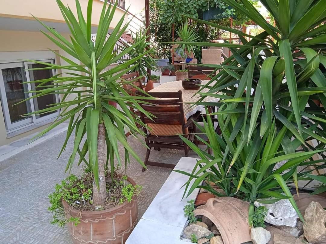 Blue Moon Accommodation Nea Michaniona Exterior foto
